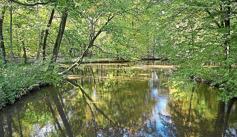 Nicht nur die Seen, auch Bachläufe, kleine Tümpel und Teiche kann man im Schlosspark entdecken.