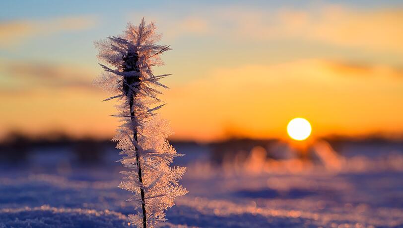 Die Sonne hat deutlich mehr Stunden eingesammelt als im Vergleichszeitraum. (Archivbild)
