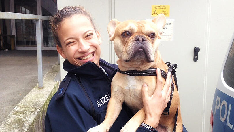 Bundespolizistin Jamie (23) hatte gleich einen Draht zu "Henry". Wo die französische Bulldogge ihr neues Zuhause findet - entscheidet sich kommende Woche. Bundespolizistin Jamie (23) hatte gleich einen Draht zu "Henry". Wo die französische Bulldogge ihr neues Zuhause findet - entscheidet sich kommende Woche.