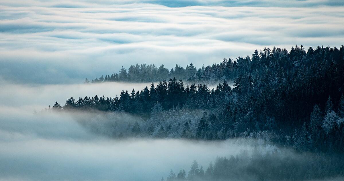 Trotz-Wirtschaftsflaute-Tourismusrekord-in-Bayern