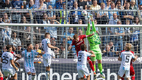 Die Löwen erkämpften sich am Samstag ein spätes Remis gegen den VfB Stuttgart II.