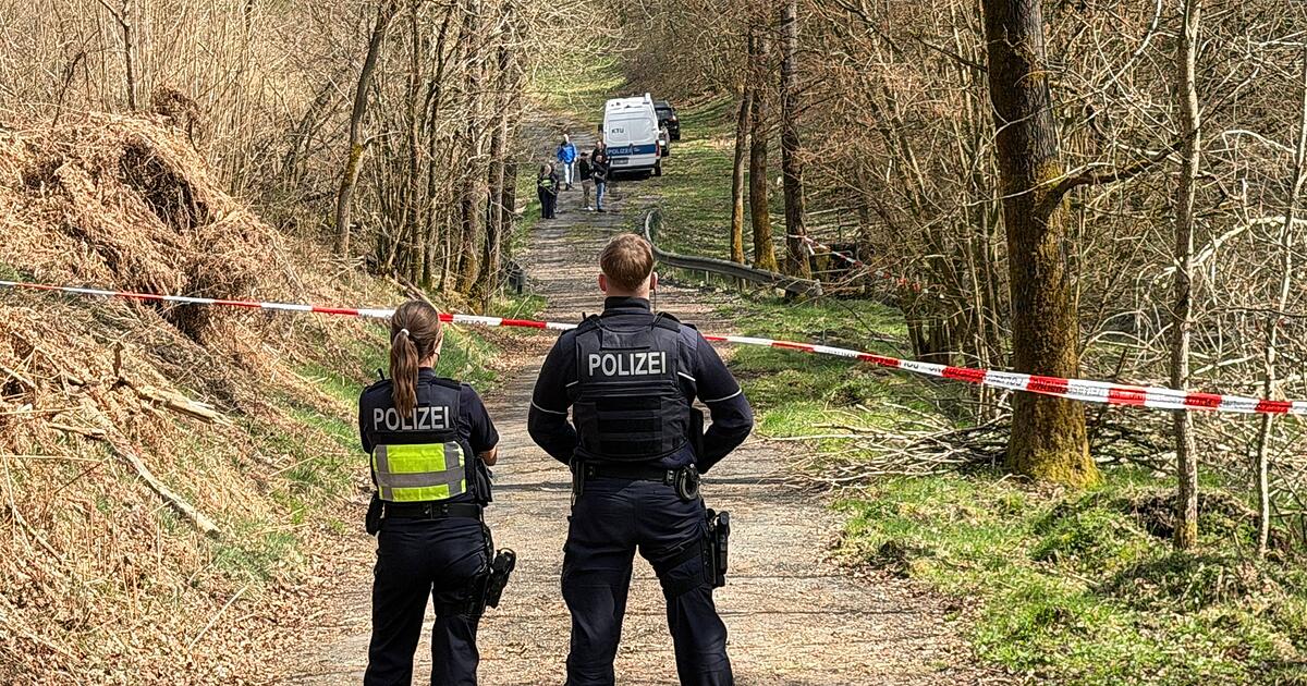 Menschlicher Kopf gefunden – Mordkommission ermittelt | Abendzeitung ...