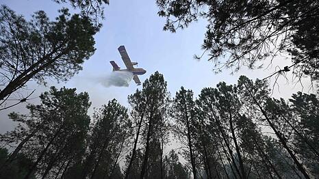Der Brand bei Luglon hat inzwischen rund 1.600 Hektar Wald und Buschland erfasst. Etwa 650 Menschen wurden vorsorglich evakuiert.