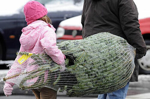 Einen Last-Minute-Christbaum bekommen die Besucher beim Christkindlmarkt am Chinesischen Turm.
