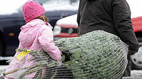 Einen Last-Minute-Christbaum bekommen die Besucher beim Christkindlmarkt am Chinesischen Turm.