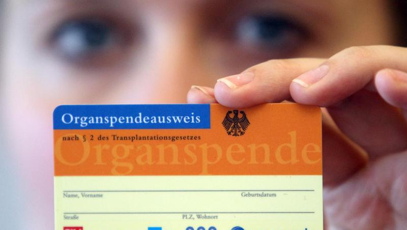 Eine Frau hält einen Organspender-Ausweis im Klinikum Süd in Nürnberg. Foto: Daniel Karmann/Archiv Eine Frau hält einen Organspender-Ausweis im Klinikum Süd in Nürnberg. Foto: Daniel Karmann/Archiv
