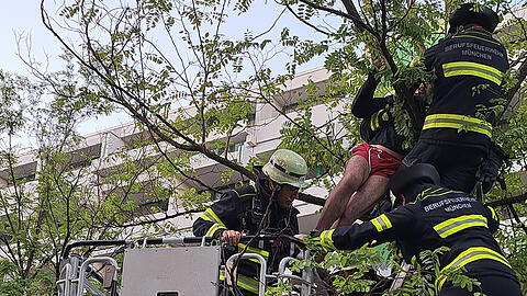 Feuerwehrleute holen den Mann aus dem Baum