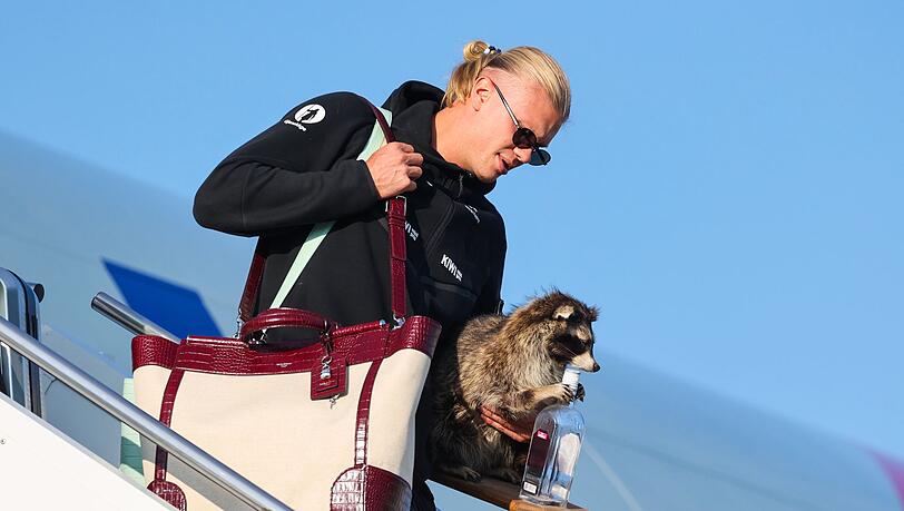 Erling Haaland und sein Waschb&auml;r.