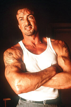 Rocky IV, in dem Nielsen auch mitwirkte, war zwar kommerziell erfolgreich, brachte ihr jedoch, neben einer Ehe mit Sylvester Stallone, die "Goldene Himbeere" ein.