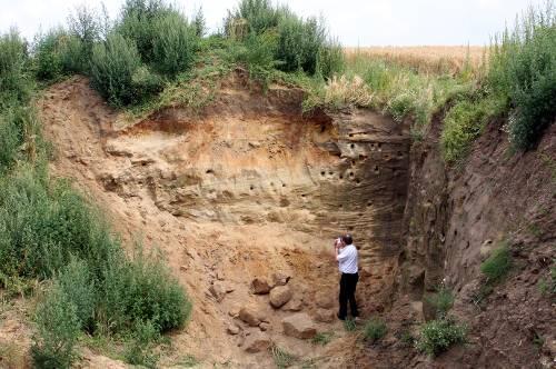 Die etwa 50 mal 50 Meter große Sandgrube.