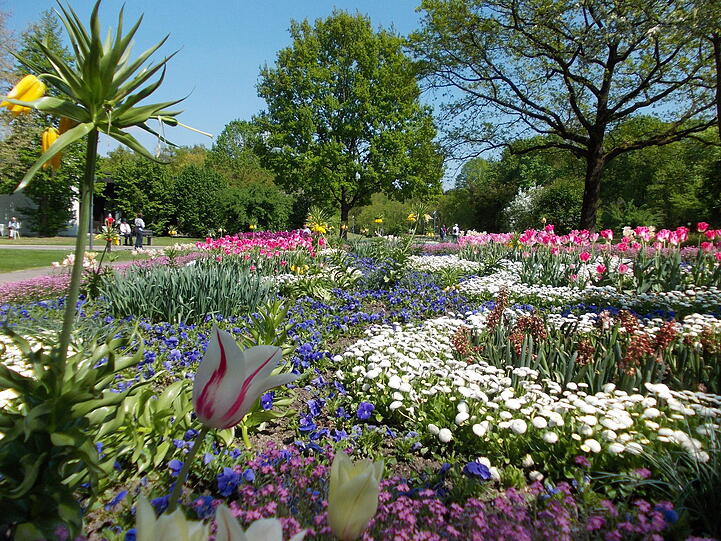 Der Kurpark im Sommer - hier kann man die Natur so richtig genießen.