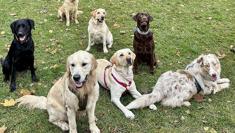 Emmi an ihrem ersten Geburtstag mit ihren Hundefreunden im Luitpoldpark. Emmi an ihrem ersten Geburtstag mit ihren Hundefreunden im Luitpoldpark.