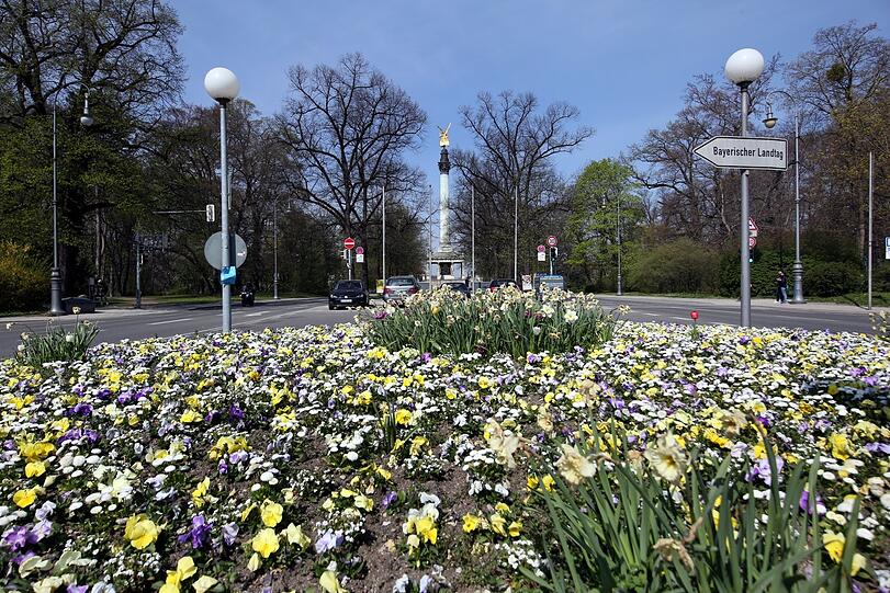 Was für eine Pracht: Nicht nur das Blumenmeer, sondern auch der Blick auf die weltstädtische Platzanlage des Friedensengels - wenn auch nur von hinten.
