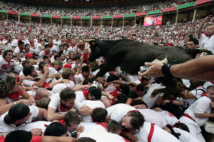 In der Stierkampf-Arena geht das Spektakel weiter. Hier laufen Junge Bullen über die Läufer.