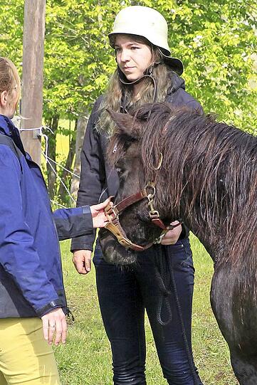 Die Shetland-Stute "Hastika" konnte von den Feuerwehrleuten gerettet werden.