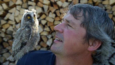 Ein Mann und seine Eule! Markus Roth (r.) will die Waldohreule bald wieder in die Wildnis entlassen.