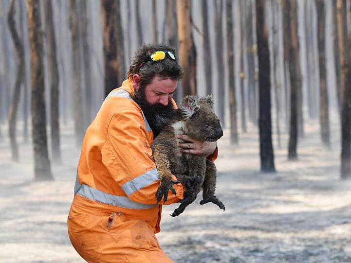 Wildtierretter Simon Adamczyk trägt einen Koala aus einem brennenden Wald auf Kangaroo Island, Australiens drittgrößter Insel.