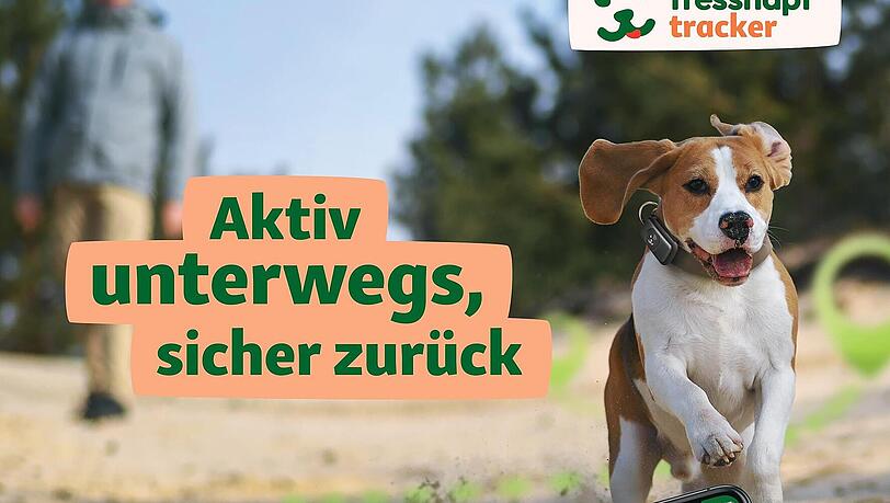 Sicherheit und Wohlbefinden an erster Stelle. Sicherheit und Wohlbefinden an erster Stelle.