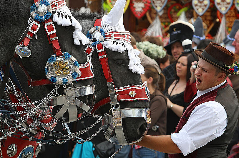 Fast wie auf der Wiesn: Ab heute steht das Bier im Mittelpunkt am Odeonsplatz &ndash; und alles, was dazugehört.