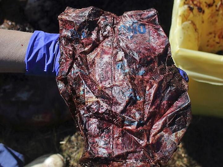 Plastik aus dem Bauch des toten Wals.