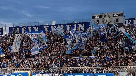 Hier deutet erstmal weiter nichts auf Umabuarbeiten hin: die Westkurve des Sechzgerstadions in diesem Herbst.