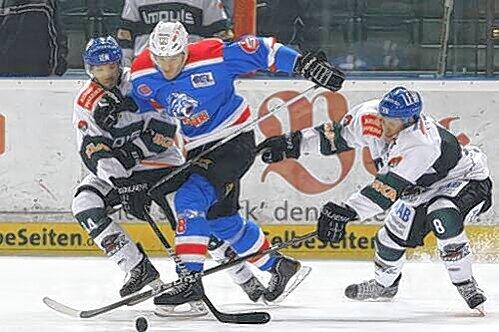 So dynamisch wie im Test gegen Augsburg, Vitallij Aab tankt sich gegen zwei Panther durch, wollen die Eistiger auch heute in Ingolstadt zu Werke gehen - und gewinnen.