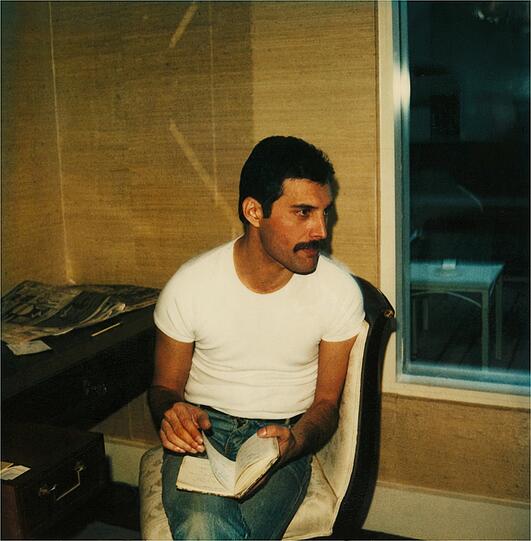 Freddie Mercury in einem Fotos des Buchs. Freddie Mercury in einem Fotos des Buchs.