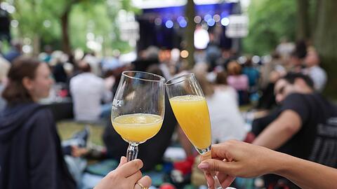 Beim Open-Air-Picknick erklingt Musik des Festspielorchesters. (Archivbild)