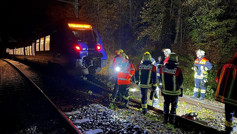 Bei dem Zusammenstoß mit einem Baum wurde kein Passagier des Zuges verletzt.