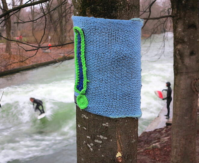 ... einen Buchenstamm umstrickte.