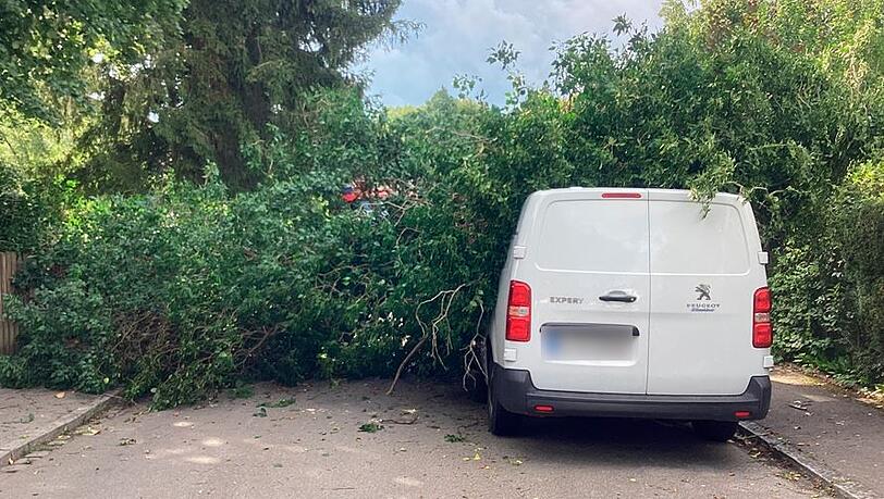 Ein Kleintransporter ist am Dienstag von einem umgestürzten Baum schwer beschädigt worden. Verletzt wurde dabei aber niemand. Ein Kleintransporter ist am Dienstag von einem umgestürzten Baum schwer beschädigt worden. Verletzt wurde dabei aber niemand.