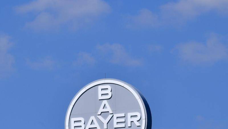 Bayer soll einem Pfirsichbauern zusammen mit BASF Schadenersatz zahlen. Bayer soll einem Pfirsichbauern zusammen mit BASF Schadenersatz zahlen.