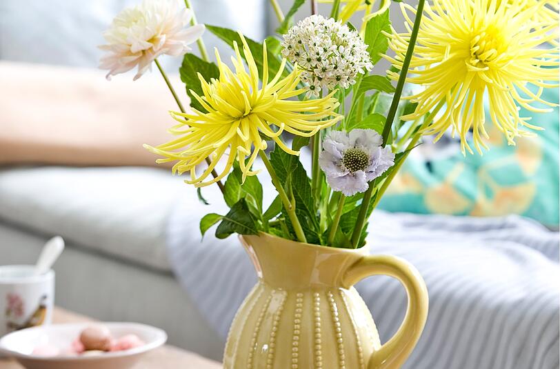 Gesucht wird der rechtmäßige Besitzer eines Blumenkübels.
