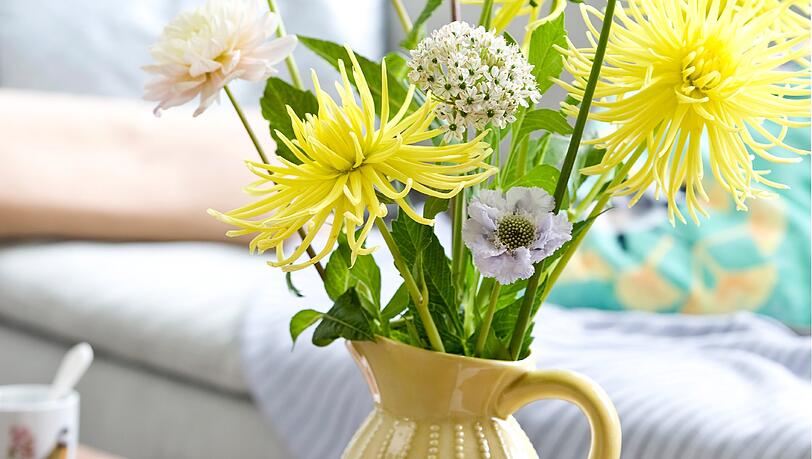 Gesucht wird der rechtmäßige Besitzer eines Blumenkübels. Gesucht wird der rechtmäßige Besitzer eines Blumenkübels.