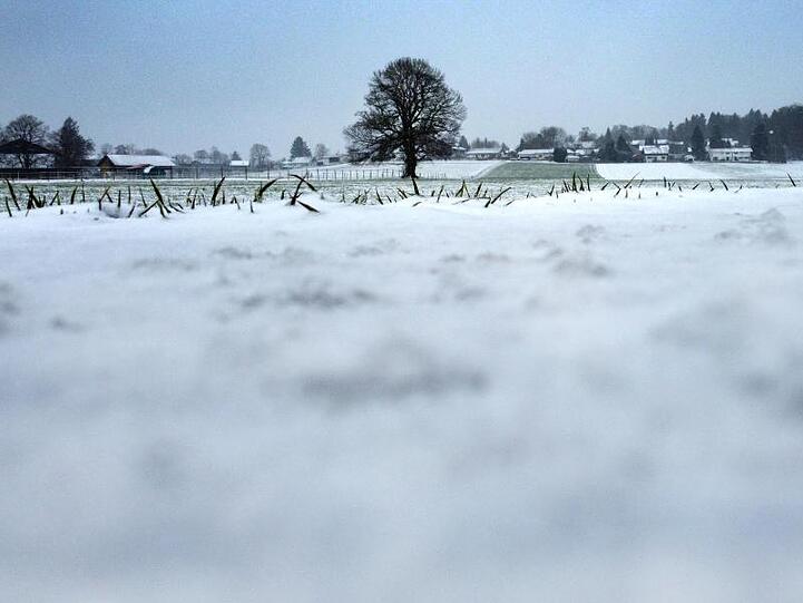 Schnee liegt auf einem Feld. Foto: Stephan Jansen/dpa