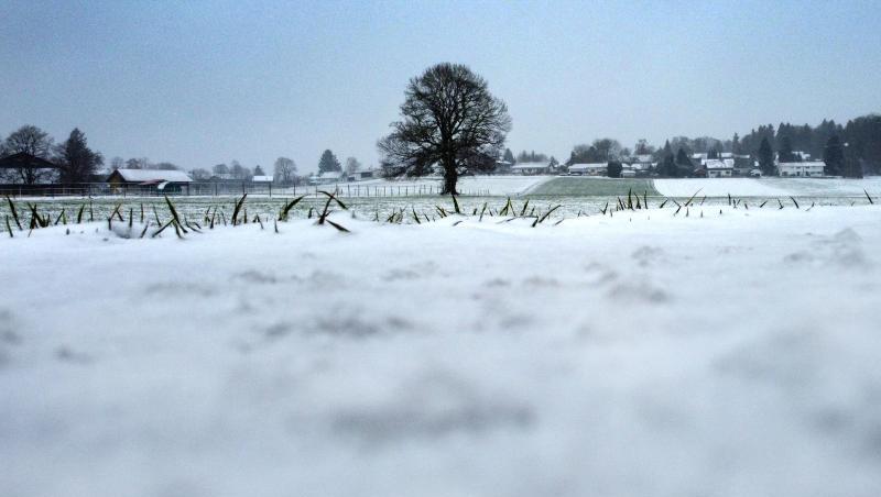 Schnee liegt auf einem Feld. Foto: Stephan Jansen/dpa