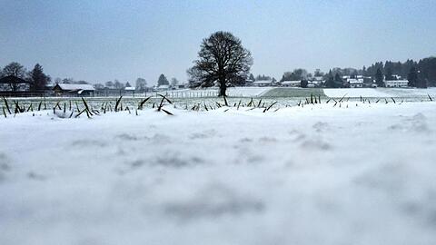 Schnee liegt auf einem Feld. Foto: Stephan Jansen/dpa