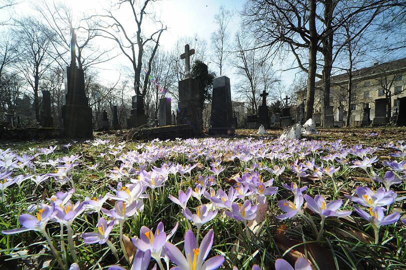 Die Kranzniederlegung findet auf dem Alten Südlichen Friedhof statt.