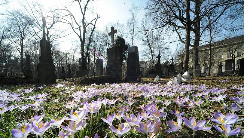 Die Kranzniederlegung findet auf dem Alten Südlichen Friedhof statt. Die Kranzniederlegung findet auf dem Alten Südlichen Friedhof statt.