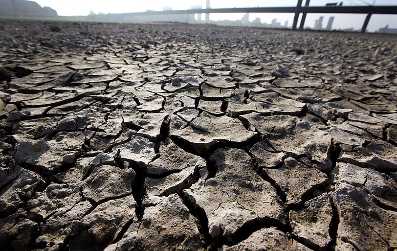 So trocken ist der Rhein - der tiefste Pegelstand seit 100 Jahren im November