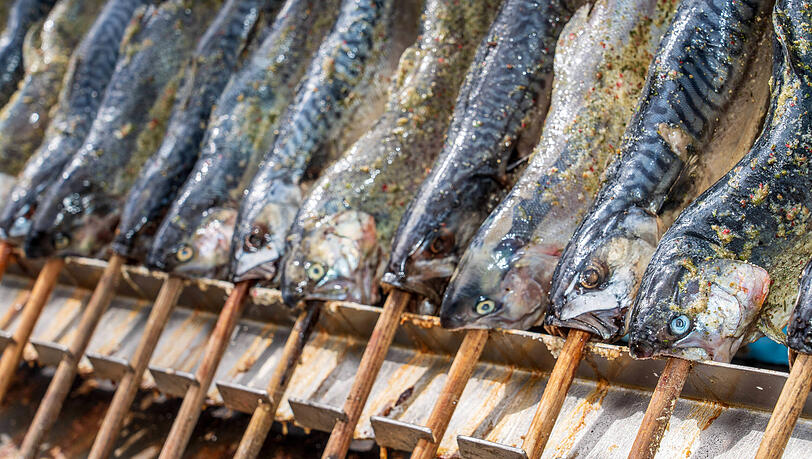 Steckerlfisch vom Stand der Fischer-Vroni auf der Maidult, auch dieses Jahr wird wieder für das leibliche Wohl gesorgt sein. Steckerlfisch vom Stand der Fischer-Vroni auf der Maidult, auch dieses Jahr wird wieder für das leibliche Wohl gesorgt sein.