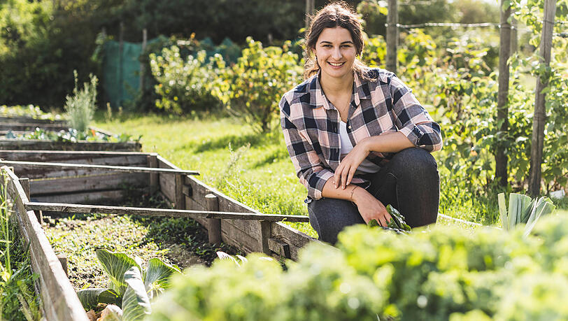 Selbst Gem&uuml;se ernten kann Spa&szlig; machen und spart Geld.