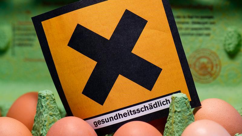 In Frühstückseiern aus Norddeutschland wurde das gefürchtete Sevesogift gefunden. In Frühstückseiern aus Norddeutschland wurde das gefürchtete Sevesogift gefunden.