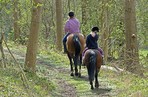 Freie Natur, keine Schule: Für viele Kinder ist ein Urlaub auf dem Ponyhof ein Traum.