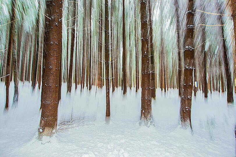 Winterstimmung im Fichten-Stangerl-Wald.