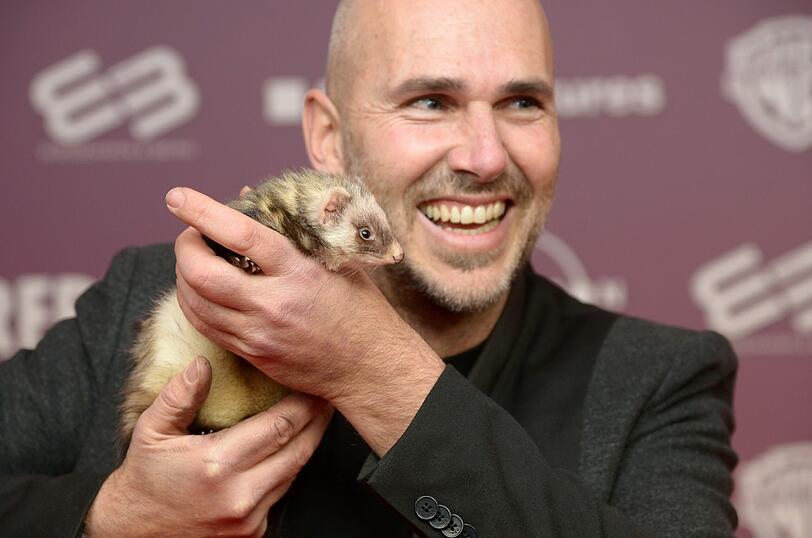 Frettchen Molly und Besitzer Christoph Kappel bei der Premiere des Films "Vaterfreuden" in München (Bayern).