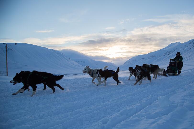 Im Husky-Schlitten geht&rsquo;s rasant durch die weite, weiße und arktisch kalte Wildnis Spitzbergens.