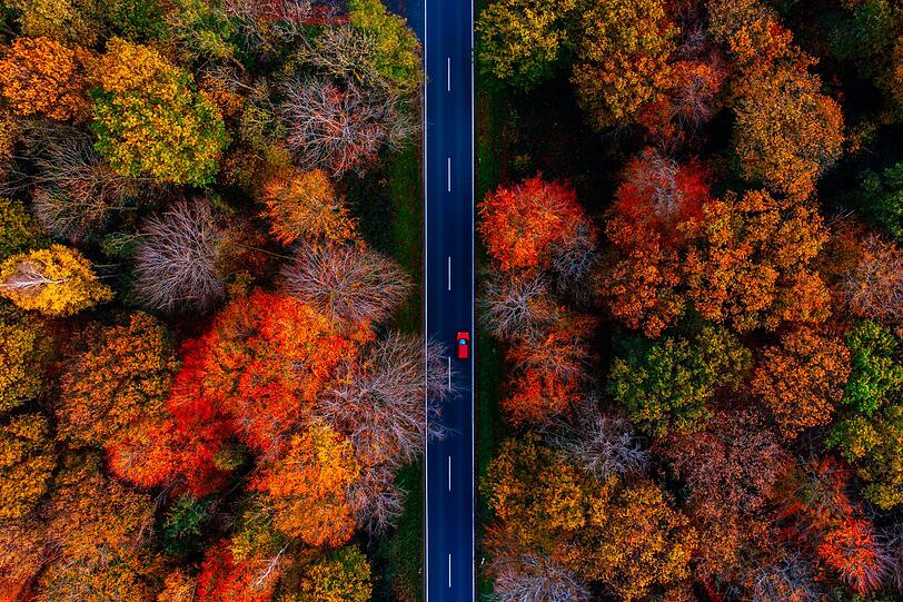 Die vulkanischen Landschaften, ruhigen Flusstäler und dichten Wälder der Eifel sind das ganze Jahr über einen Besuch wert - richtig spektakulär wird es in der Region aber im Herbst, wenn sich die Blätter orange, rot und gelb färben und jede Wanderung zum Wohlfühlmoment wird. Etwas Abwechslung zur Natur bietet das historische Städtchen Monschau an der belgischen Grenze. Die vulkanischen Landschaften, ruhigen Flusstäler und dichten Wälder der Eifel sind das ganze Jahr über einen Besuch wert - richtig spektakulär wird es in der Region aber im Herbst, wenn sich die Blätter orange, rot und gelb färben und jede Wanderung zum Wohlfühlmoment wird. Etwas Abwechslung zur Natur bietet das historische Städtchen Monschau an der belgischen Grenze.