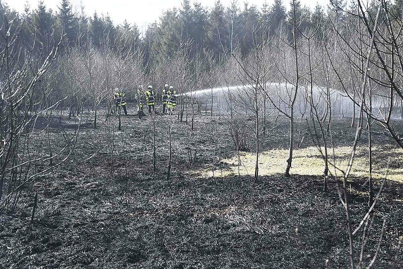 4.4.2018, 15:30 Uhr: Waldperlach, 1200 qm.