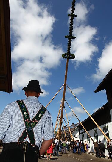 Burschen in bayerischer Tracht stemmen am 01.05.2014 in Großweil bei Garmisch-Partenkirchen (Bayern) Stück für Stück einen rund 38 Meter hohen Maibaum mittels Stangen in die Senkrechte. Alle drei Jahre wird in der kleinen Gemeinde ein neuer Maibaum in stundenlanger Handarbeit aufgestellt. Foto: Karl-Josef Hildenbrand/dpa